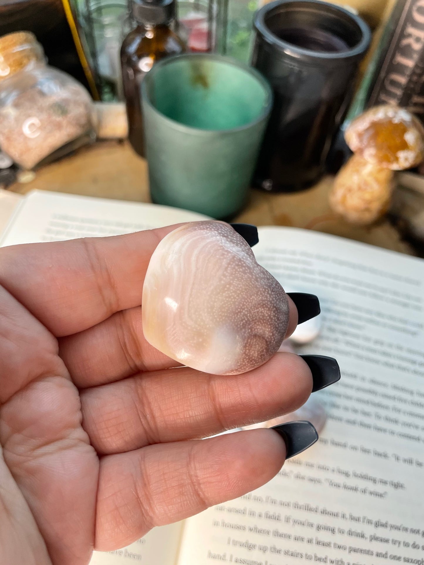 Shive Shell Hearts