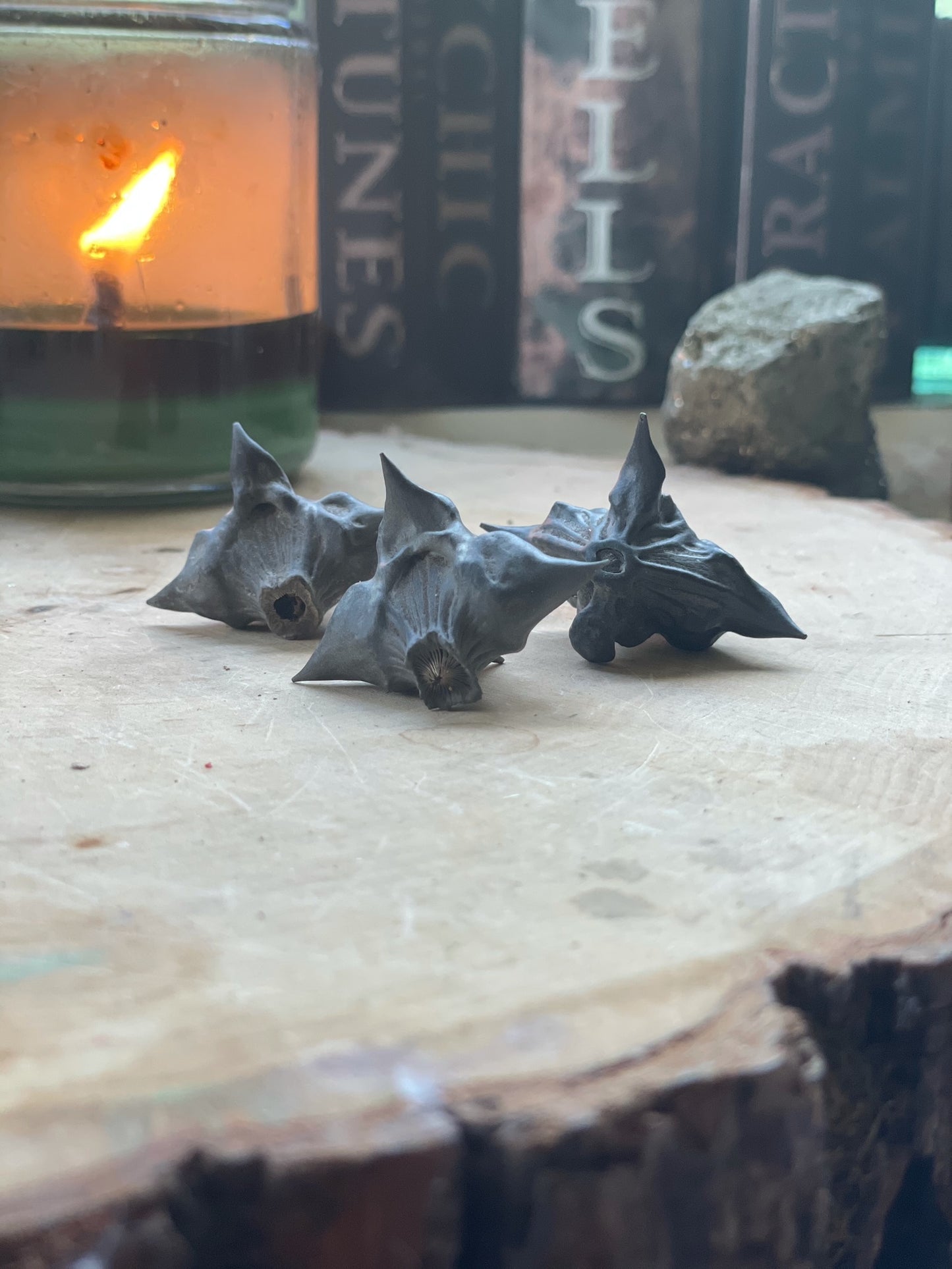 Devil Pods (Bat Nuts)