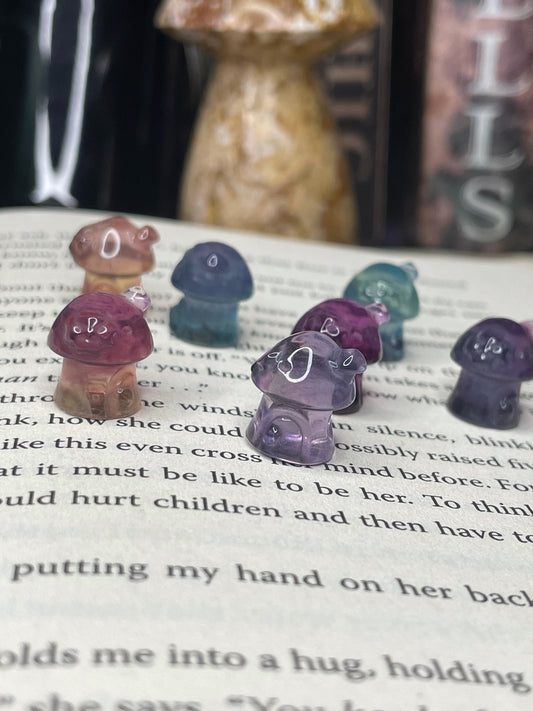 Mini Fluorite Mushroom House
