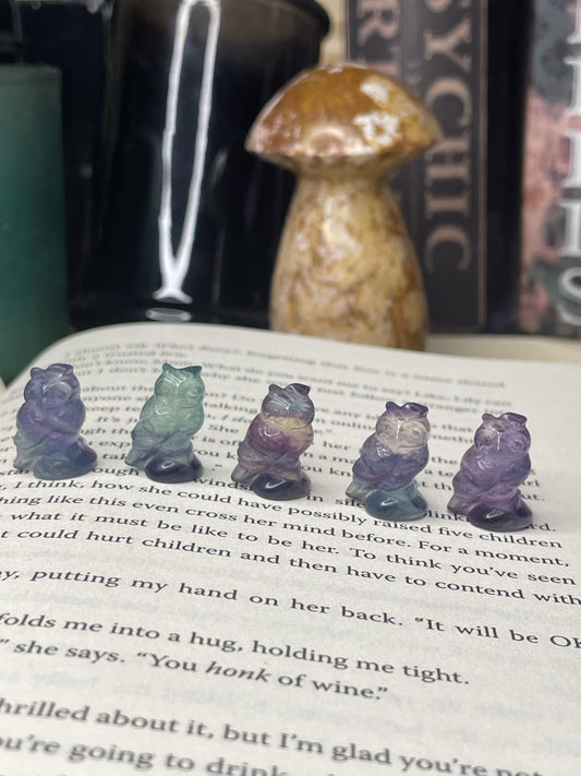 Mini Fluorite Owl Carving