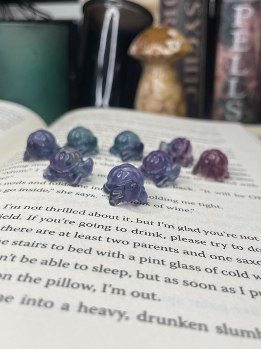 Mini Fluorite Turtle Carving