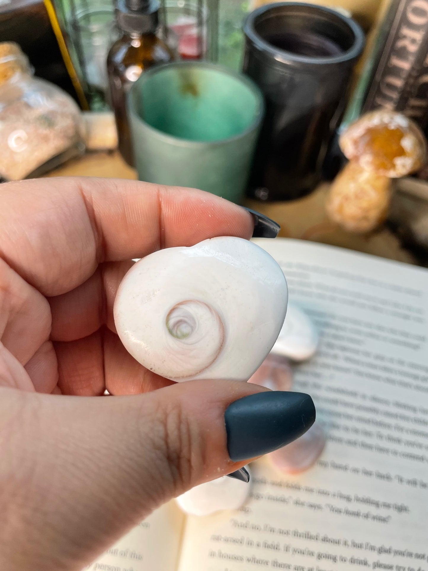 Shive Shell Hearts