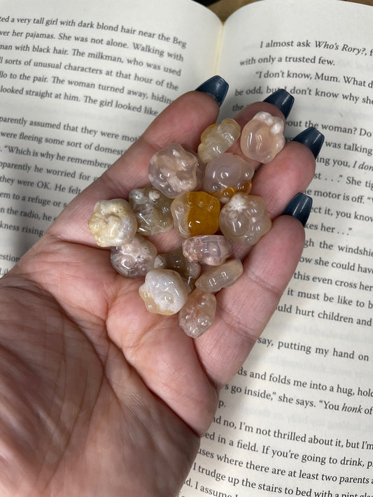 Mini Flower Agate Paw Print