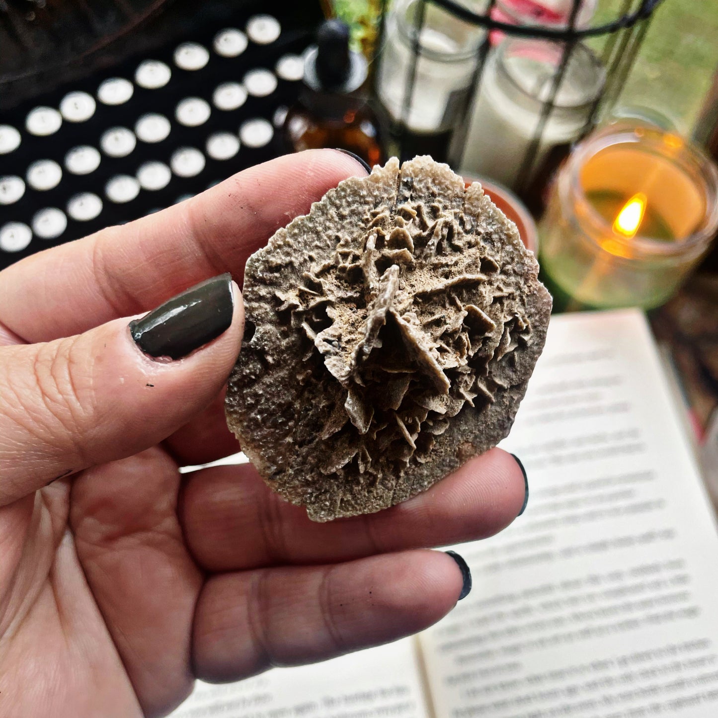 Desert Rose