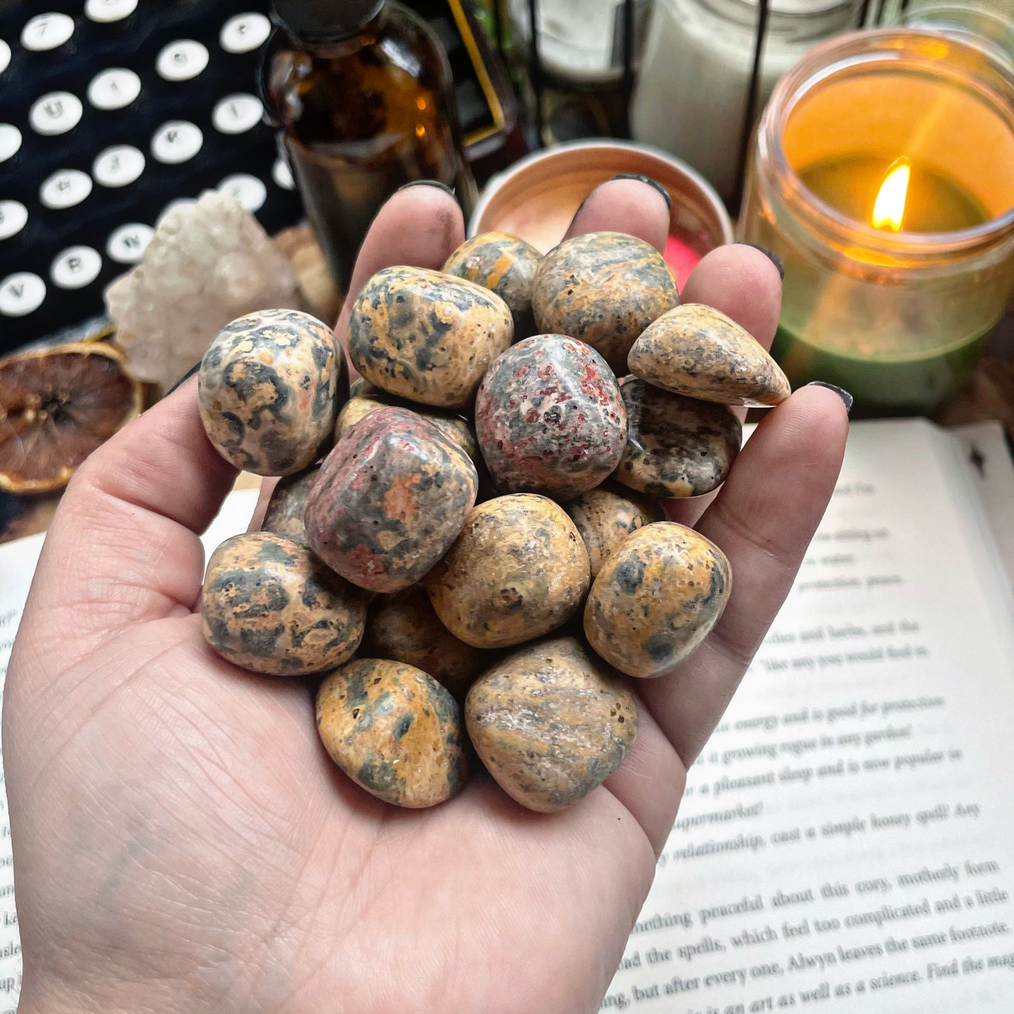 Leopard Jasper Tumble