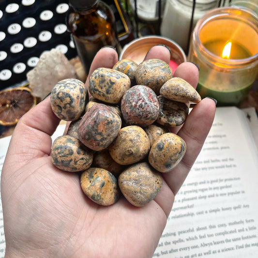 Leopard Jasper Tumble
