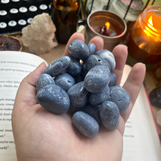 Blue Coral Jasper Tumble