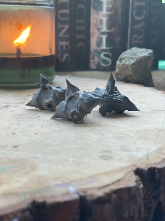 Devil Pods (Bat Nuts)