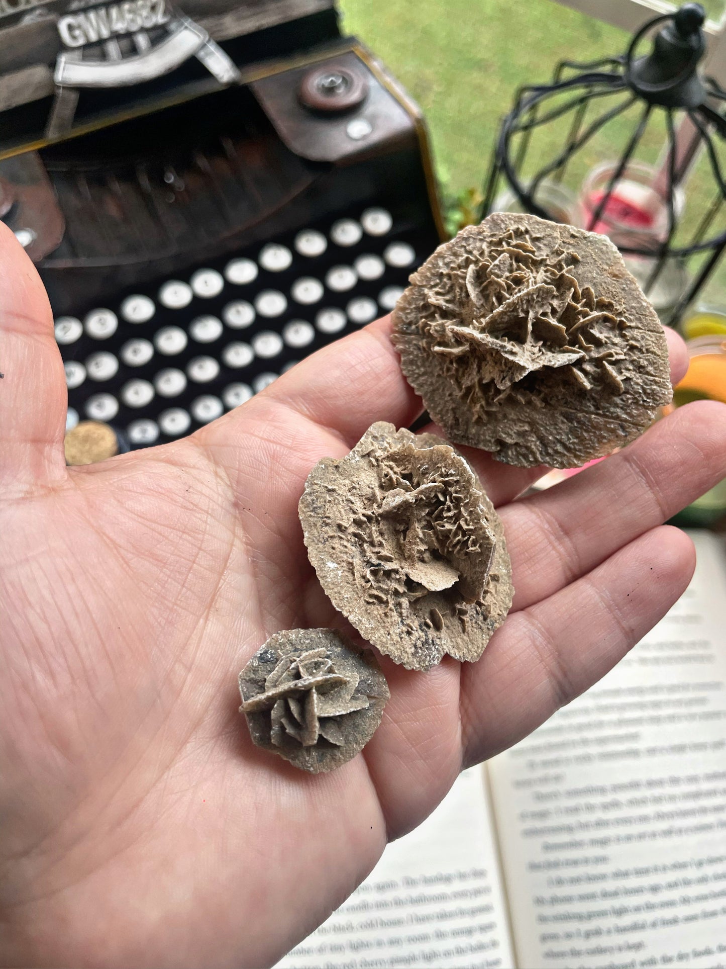 Desert Rose