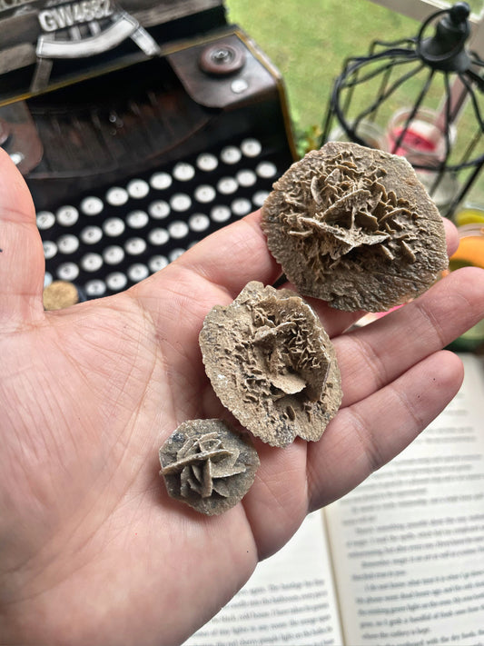 Desert Rose