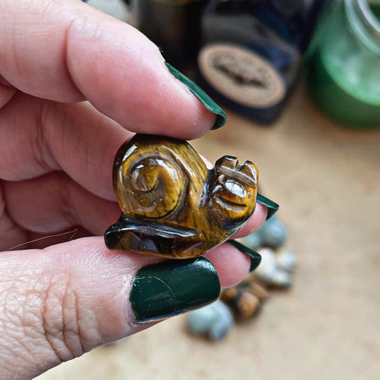 Mystery Snail Carving